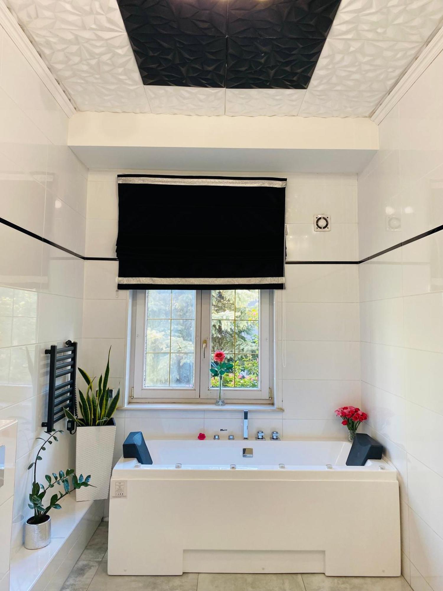 Kaliny Apartamenty Wanny Z Hydromasazem Chorzow Ngoại thất bức ảnh